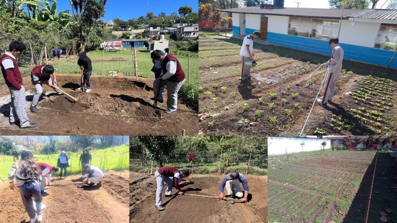 En Teocelo, Ver. Continúa la dirección de Medio Ambiente y Desarrollo Sostenible con el proyecto de huertos escolares